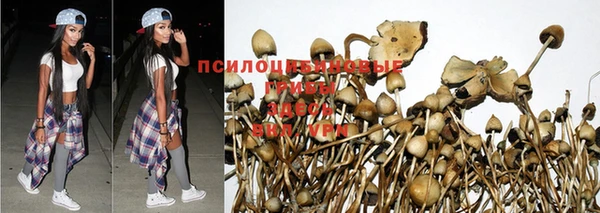 MDMA Магас