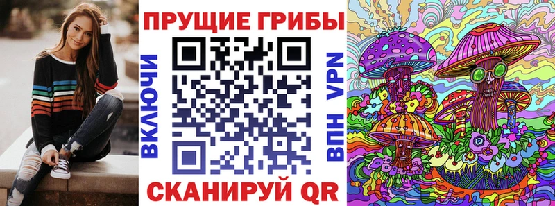 Купить где  Сим  Псилоцибиновые грибы мицелий 